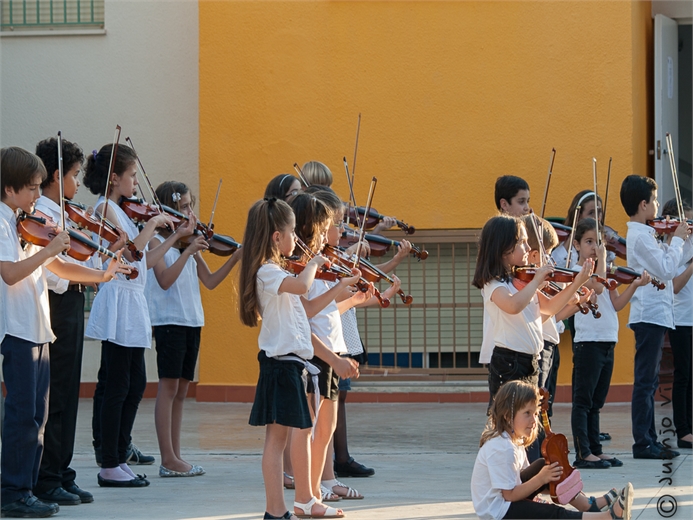 audioviolin_12062013_21