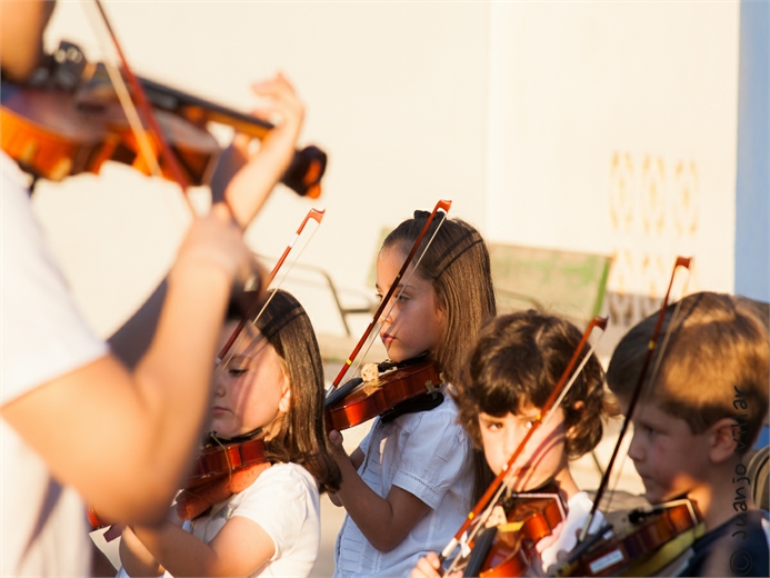 audioviolin_12062013_27